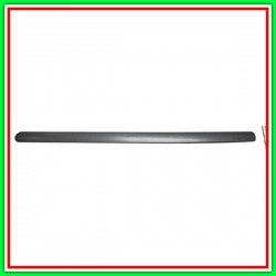 Left-Black Front Door Molding FORD TransitTourneo-Connect-(Year 2003-2006)