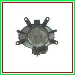 Fendinebbia Destro-Sinistro Bmw Serie 3-E46-(Anno 2001-2005)