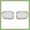 Griglia Radiatore Sinistra Cromata-Cromata-Nera Bmw Serie 5-E39-(Anno 2000-2003)