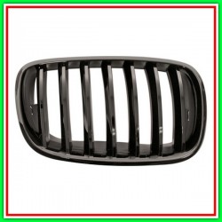 Grid Radiator Right Black Lucida BMW X5-E70N-M-Tech-(Year 2010-2013)