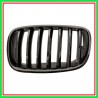 Griglia Radiatore Sinistra Nera Lucida Bmw X5-E70N-M-Tech-(Anno 2010-2013)