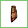 Fanale Posteriore Destro Senza Porta Lampada Fiat Punto-(Anno 2012-2017)