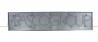 Modanatura Porta Posteriore Destra-Grigio Scuro Goffrato Fiat-Ducato-Mod. 08/06-05/14