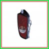 Fanale Posteriore Destro-Senza Portalampada Mod 01-02 Fino 08-03 Hyundai Atos Prime-(Anno 1998-2003)