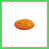 Fanale Laterale Destro-Sinistro Arancio Senza Porta Lampada Mini Mini (Bmw) R50R53-(Anno 2001-2004)