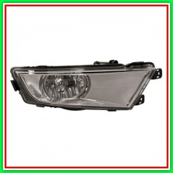 Fendinebbia Destro-Cromato Skoda Octavia-(Anno 2013-2016)