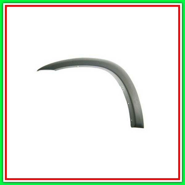 Parafanghino Anteriore Sinistro Toyota Rav 4-(Anno 2000-2003)