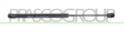 MOLLA A GAS DESTRA/SINISTRA COFANO - 300 N - L 397 mm - C 157 mm - ? 18 mm - ? 8 mm MOD. BERLINA/STATION WAGON 156 - Mod. 09/03 
