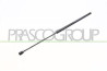 MOLLA A GAS DESTRA/SINISTRA COFANO - 250 N - L 600 mm - C 260 mm - ? 18 mm - ? 8 mm MOD. BERLINA/STATION WAGON