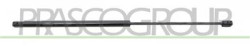 MOLLA A GAS DESTRA/SINISTRA COFANO - 250 N - L 600 mm - C 260 mm - ? 18 mm - ? 8 mm MOD. BERLINA/STATION WAGON