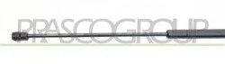 MOLLA A GAS DESTRA/SINISTRA COFANO - 250 N - L 600 mm - C 260 mm - ? 18 mm - ? 8 mm MOD. BERLINA/STATION WAGON