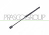 MOLLA A GAS DESTRA/SINISTRA PORTELLONE POSTERIORE - 370 N - L 436 mm - C 180 mm - ? 18 mm - ? 8 mm