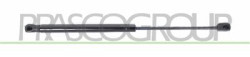 MOLLA A GAS DESTRA/SINISTRA PORTELLONE POSTERIORE - 370 N - L 436 mm - C 180 mm - ? 18 mm - ? 8 mm