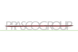 MODANATURA CENTRALE CROMATA PORTELLONE POSTERIORE Q5 (8R) - Mod. 09/12 - 12/16