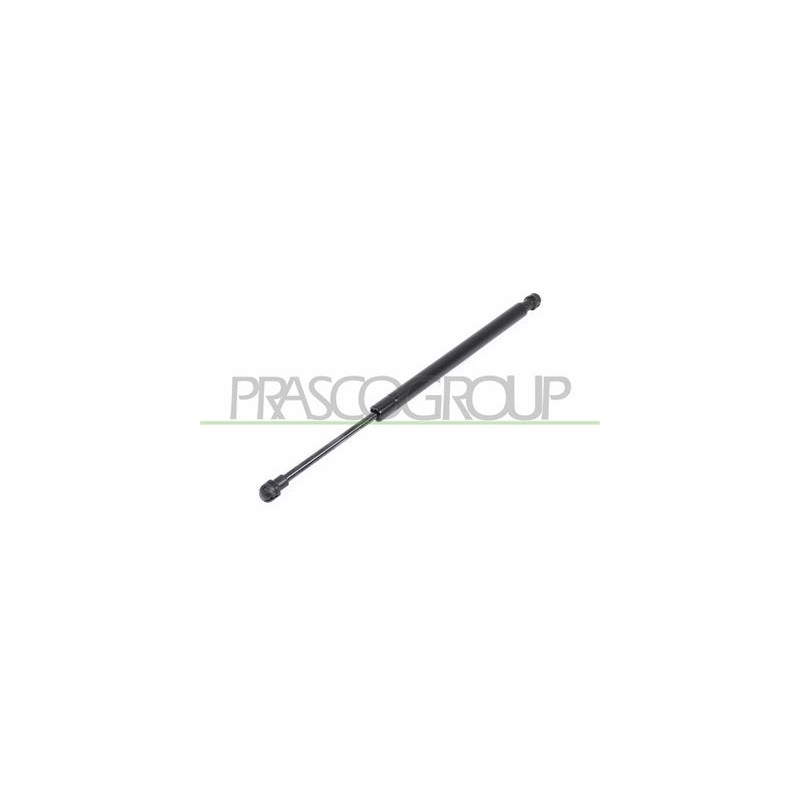 MOLLA A GAS DESTRA/SINISTRA PORTELLONE POSTERIORE - 320 N - L 370 mm - C 110 mm - ? 18 mm - ? 8 mm 3 SERIES - E90/E91 - Mod. 03/