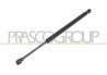 MOLLA A GAS DESTRA/SINISTRA PORTELLONE POSTERIORE - 320 N - L 370 mm - C 110 mm - ? 18 mm - ? 8 mm 3 SERIES - E90/E91 - Mod. 03/