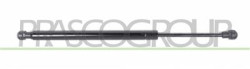 MOLLA A GAS DESTRA/SINISTRA PORTELLONE POSTERIORE - 320 N - L 370 mm - C 110 mm - ? 18 mm - ? 8 mm 3 SERIES - E90/E91 - Mod. 03/