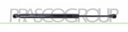 MOLLA A GAS DESTRA/SINISTRA PORTELLONE POSTERIORE - 320 N - L 370 mm - C 110 mm - ? 18 mm - ? 8 mm 3 SERIES - E90/E91 - Mod. 03/