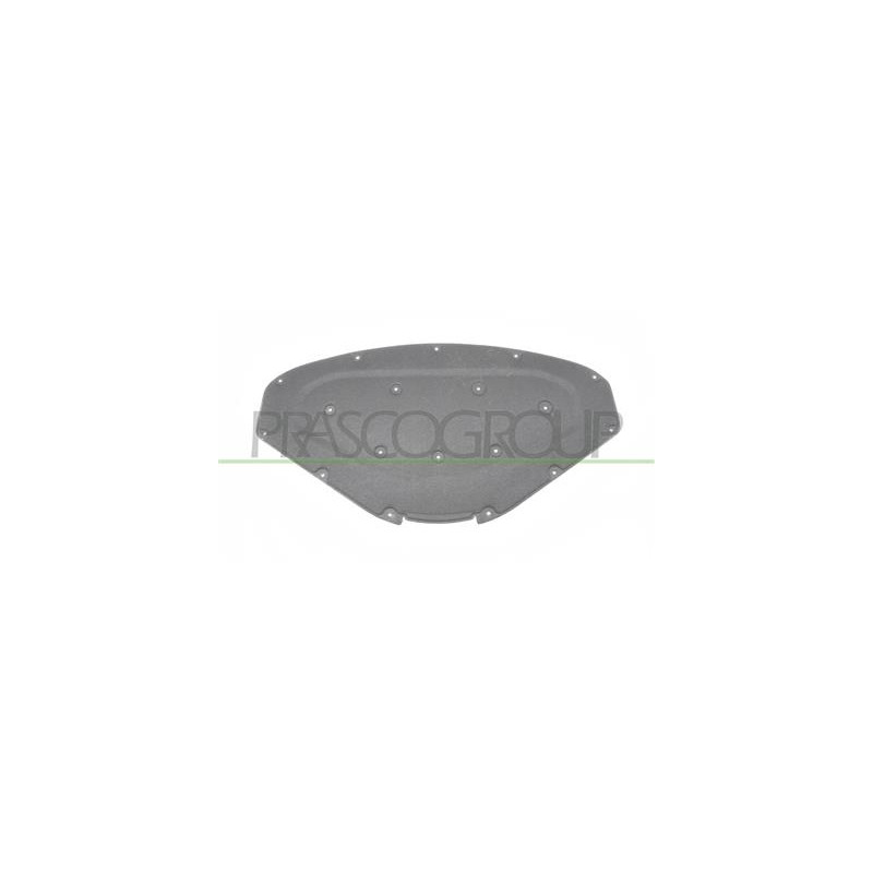 PANNELLO INSONORIZZATORE COFANO 1 SERIES - F20/F21 - Mod. 02/11 - 01/15