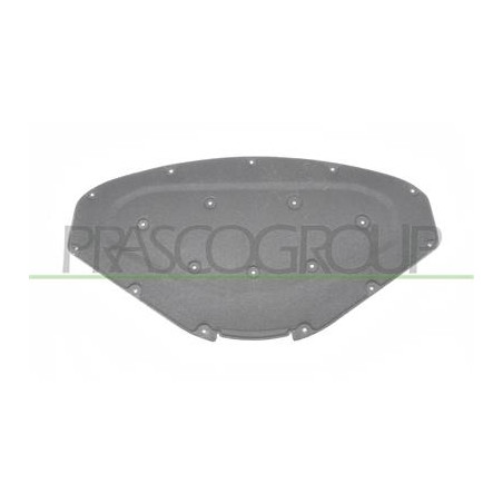 PANNELLO INSONORIZZATORE COFANO 1 SERIES - F20/F21 - Mod. 02/11 - 01/15