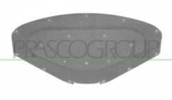 PANNELLO INSONORIZZATORE COFANO 1 SERIES - F20/F21 - Mod. 02/11 - 01/15