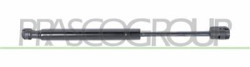 MOLLA A GAS DESTRA/SINISTRA COFANO - 720 N - L 285 mm - C 100 mm - ? 18 mm - ? 8 mm X3 - E83 - Mod. 03/07 - 08/10