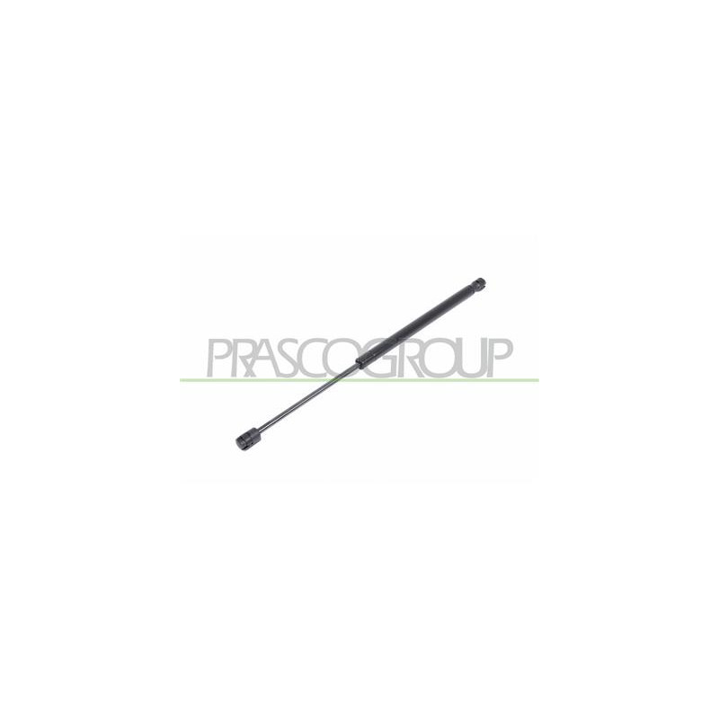 MOLLA A GAS DESTRA/SINISTRA PORTELLONE POSTERIORE - 420 N - L 445 mm - C 170 mm - ? 18 mm - ? 8 mm C3 - Mod. 04/02 - 09/05