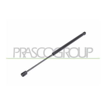 MOLLA A GAS DESTRA/SINISTRA PORTELLONE POSTERIORE - 420 N - L 445 mm - C 170 mm - ? 18 mm - ? 8 mm C3 - Mod. 04/02 - 09/05
