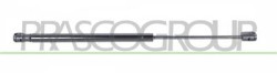 MOLLA A GAS DESTRA/SINISTRA PORTELLONE POSTERIORE - 420 N - L 445 mm - C 170 mm - ? 18 mm - ? 8 mm C3 - Mod. 04/02 - 09/05
