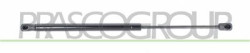MOLLA A GAS DESTRA/SINISTRA PORTELLONE POSTERIORE - 420 N - L 445 mm - C 170 mm - ? 18 mm - ? 8 mm C3 - Mod. 04/02 - 09/05