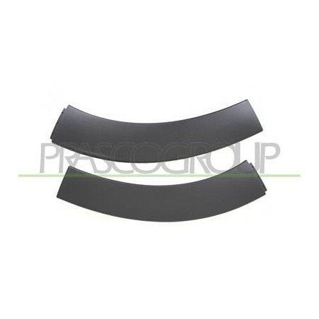 KIT PARTE ANTERIORE PARAFANGHINI ANTERIORI NERI-GOFFRATI-CON TRACE PARK ASSIST-2 PZ. (DESTRO+SINISTRO) C3 - Mod. 09/16 - 09/20