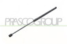 MOLLA A GAS DESTRA/SINISTRA PORTELLONE POSTERIORE - 335 N - L 545 mm - C 225 mm - ? 18 mm - ? 8 mm FIESTA MK VI - Mod. 01/13 - 0