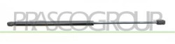 MOLLA A GAS DESTRA/SINISTRA PORTELLONE POSTERIORE - 335 N - L 545 mm - C 225 mm - ? 18 mm - ? 8 mm FIESTA MK VI - Mod. 01/13 - 0