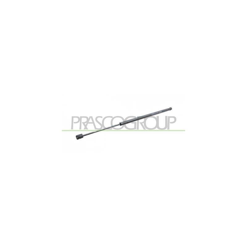 MOLLA A GAS DESTRA/SINISTRA PORTELLONE POSTERIORE - 680 N - L 555 mm - C 180 mm - ? 18 mm - ? 8 mm 500 L - Mod. 04/12 - 05/17
