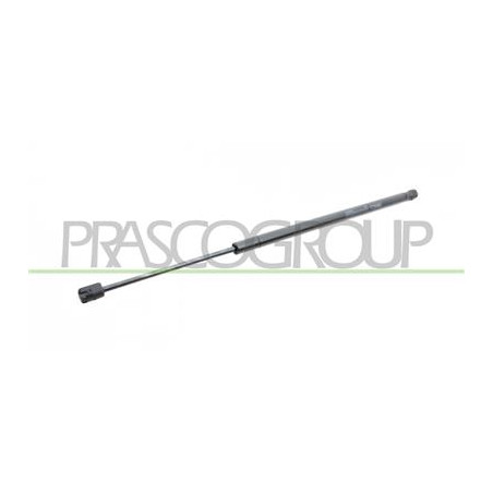 MOLLA A GAS DESTRA/SINISTRA PORTELLONE POSTERIORE - 680 N - L 555 mm - C 180 mm - ? 18 mm - ? 8 mm 500 L - Mod. 04/12 - 05/17