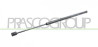 MOLLA A GAS DESTRA/SINISTRA PORTELLONE POSTERIORE - 680 N - L 555 mm - C 180 mm - ? 18 mm - ? 8 mm 500 L - Mod. 04/12 - 05/17