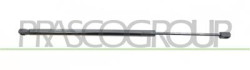 MOLLA A GAS DESTRA/SINISTRA PORTELLONE POSTERIORE - 680 N - L 555 mm - C 180 mm - ? 18 mm - ? 8 mm 500 L - Mod. 04/12 - 05/17