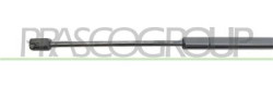 MOLLA A GAS DESTRA/SINISTRA PORTELLONE POSTERIORE - 680 N - L 555 mm - C 180 mm - ? 18 mm - ? 8 mm 500 L - Mod. 04/12 - 05/17