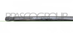MOLLA A GAS DESTRA/SINISTRA PORTELLONE POSTERIORE - 680 N - L 555 mm - C 180 mm - ? 18 mm - ? 8 mm 500 L - Mod. 04/12 - 05/17
