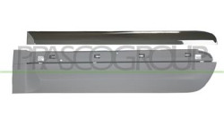 MODANATURA PORTA POSTERIORE SINISTRA CON PRIMER CON PROFILO CROMATO 500 L - Mod. 06/17 -