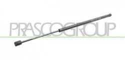 MOLLA A GAS DESTRA/SINISTRA PORTELLONE POSTERIORE - 680 N - L 555 mm - C 180 mm - ? 18 mm - ? 8 mm 500 L - Mod. 06/17 -