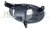 PROIETTORE SINISTRO P21W-CON LUCE DIURNA E FANALE 500X - Mod. 01/15 - 10/18