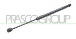 MOLLA A GAS DESTRA/SINISTRA PORTELLONE POSTERIORE - 480 N - L 451 mm - C 162 mm - ? 18 mm - ? 8 mm 500X - Mod. 11/18 - 02/23