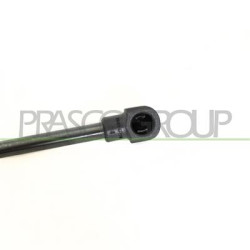 MOLLA A GAS DESTRA/SINISTRA PORTELLONE POSTERIORE - 280 N - L 503 mm - C 210 mm - ? 18 mm - ? 8 mm