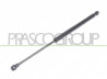 MOLLA A GAS DESTRA/SINISTRA PORTELLONE POSTERIORE - 420 N - L 410 mm - C 160 mm - ? 18 mm - ? 8 mm PANDA - Mod. 01/12 -