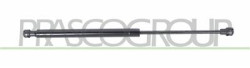 MOLLA A GAS DESTRA/SINISTRA PORTELLONE POSTERIORE - 420 N - L 410 mm - C 160 mm - ? 18 mm - ? 8 mm PANDA - Mod. 01/12 -
