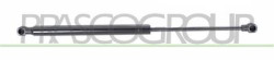 MOLLA A GAS DESTRA/SINISTRA PORTELLONE POSTERIORE - 420 N - L 410 mm - C 160 mm - ? 18 mm - ? 8 mm PANDA - Mod. 01/12 -