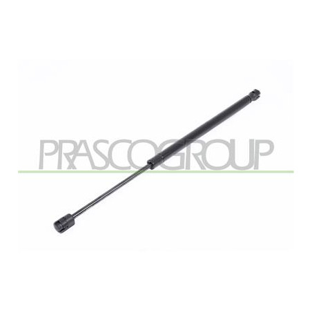 MOLLA A GAS DESTRA/SINISTRA PORTELLONE POSTERIORE - 380 N - L 456 mm - C 159 mm - ? 18 mm - ? 8 mm MOD. 5 PORTE PUNTO - Mod. 04/