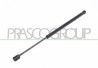 MOLLA A GAS DESTRA/SINISTRA PORTELLONE POSTERIORE - 380 N - L 456 mm - C 159 mm - ? 18 mm - ? 8 mm MOD. 5 PORTE PUNTO - Mod. 04/