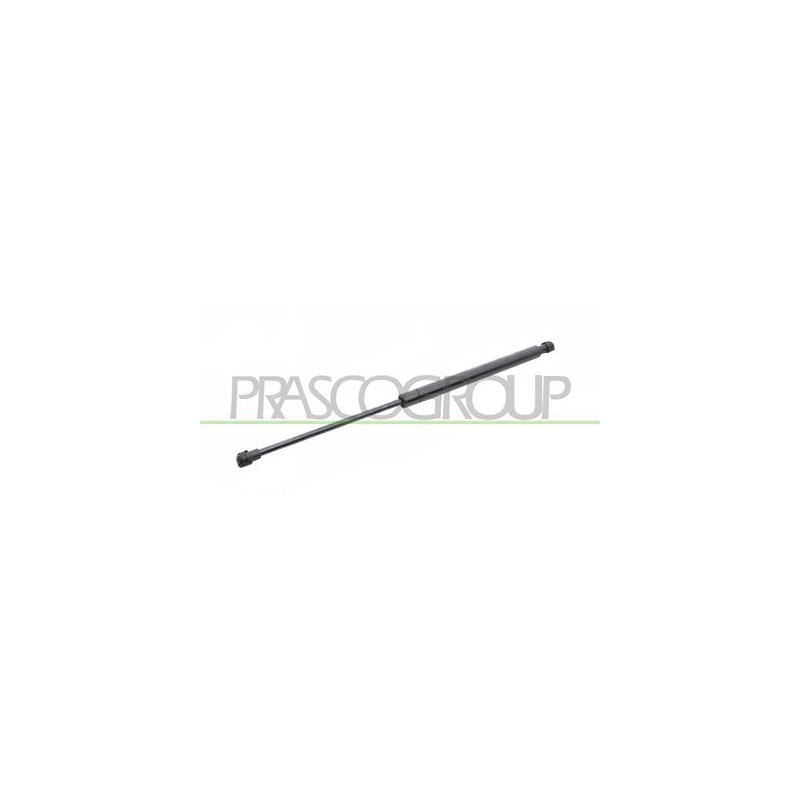 MOLLA A GAS DESTRA/SINISTRA PORTELLONE POSTERIORE - 350 N - L 436 mm - C 180 mm - ? 18 mm - ? 8 mm